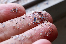 How Microplastic Endangers Our Lives