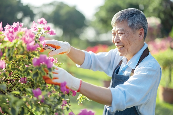 Berkebun selama 30 menit dapat membantu tubuh tetap bugar.